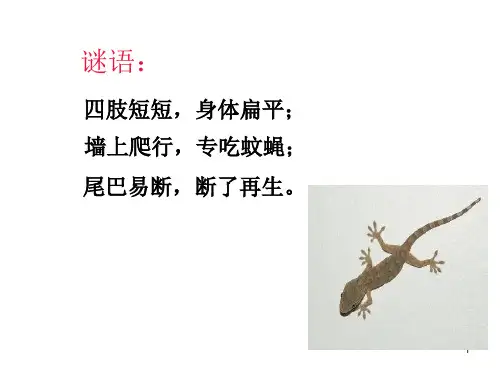 24奇妙的护身术PPT课件