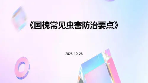 国槐常见虫害防治要点