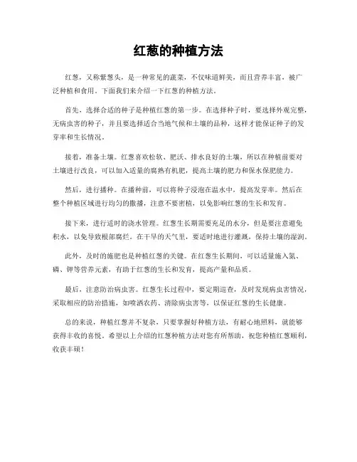 红葱的种植方法