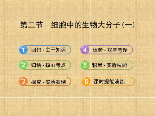 高三生物一轮复习：细胞中的生物大分子一ppt课件