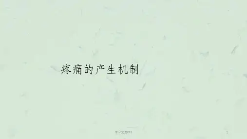 疼痛的产生机制课件