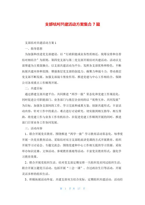 支部结对共建活动方案集合7篇
