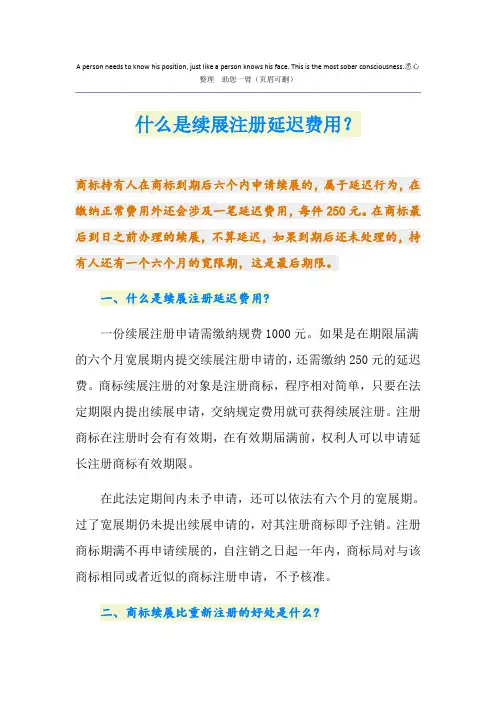什么是续展注册延迟费用？