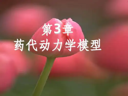 药代动力学
