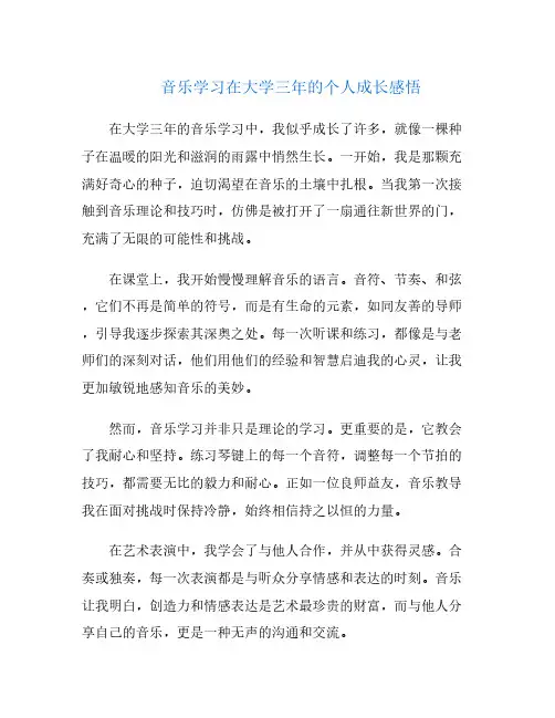 音乐学习在大学三年的个人成长感悟