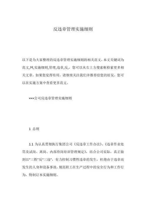 反违章管理实施细则