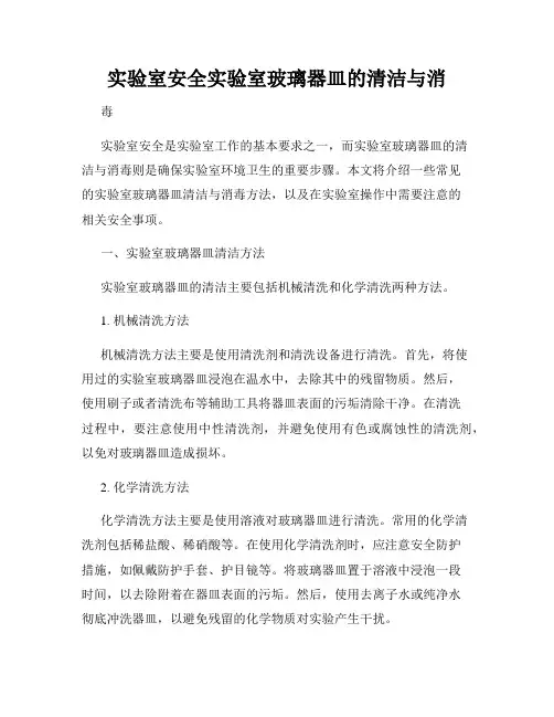 实验室安全实验室玻璃器皿的清洁与消