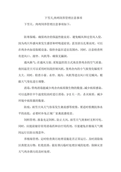 下雪天,肉鸡饲养管理注意事项