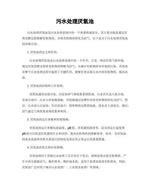 污水处理厌氧池