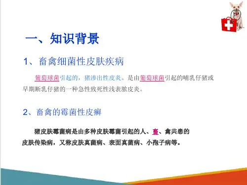 动物皮肤检查—皮肤样品染色检查