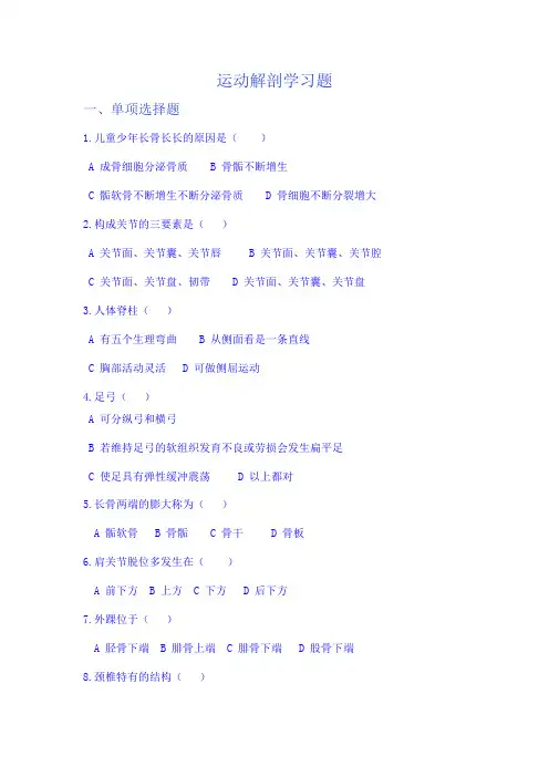 运动解剖学复习题 (2)