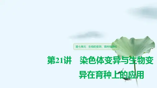 高考生物一轮复习：染色体变异与生物变异在育种上的应用优质课件