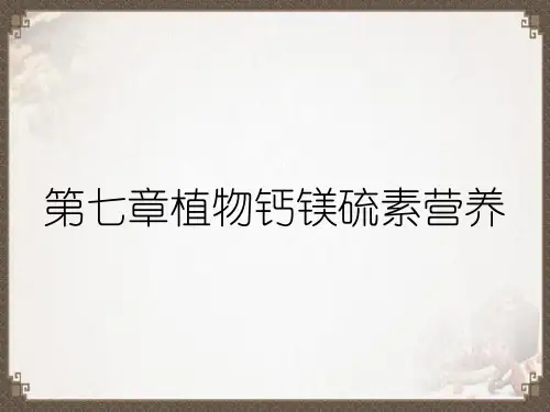 第七章植物钙镁硫素营养