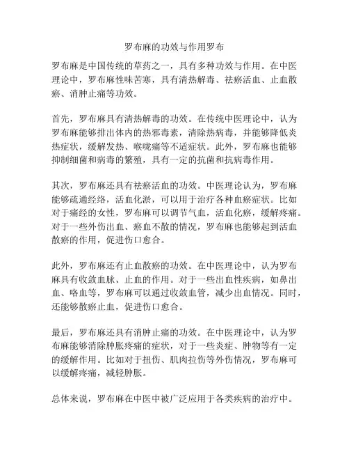 罗布麻的功效与作用罗布