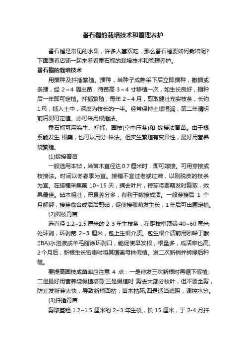 番石榴的栽培技术和管理养护