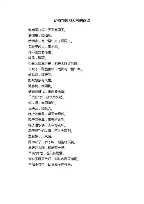 动植物预报天气的谚语