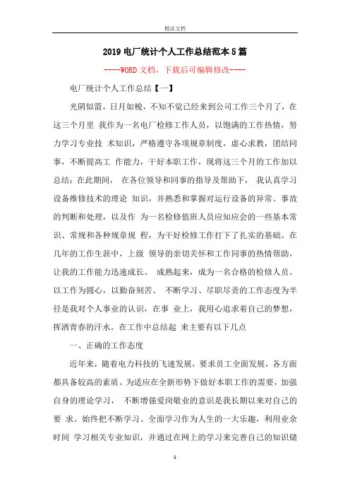2019电厂统计个人工作总结范本5篇