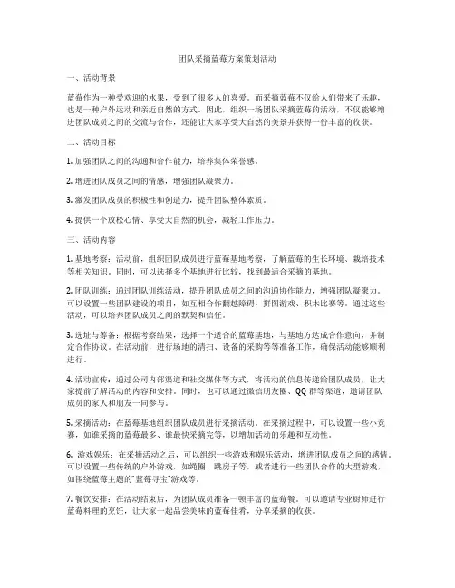 团队采摘蓝莓方案策划活动