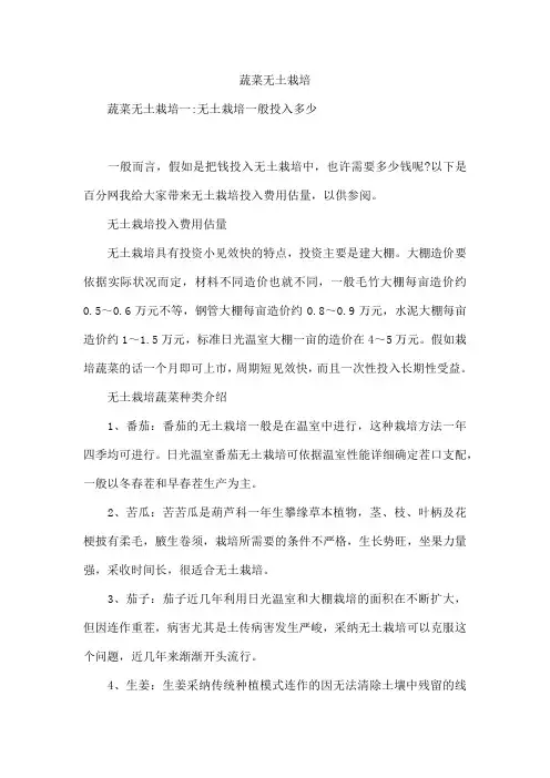 蔬菜无土栽培