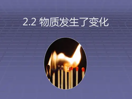 物质发生了什么变化PPT