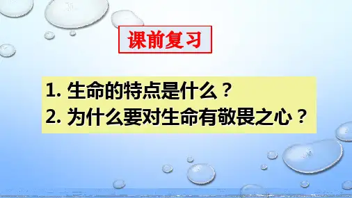 人教版道德与法治七年级上册9.1 守护生命课件(共42张PPT)
