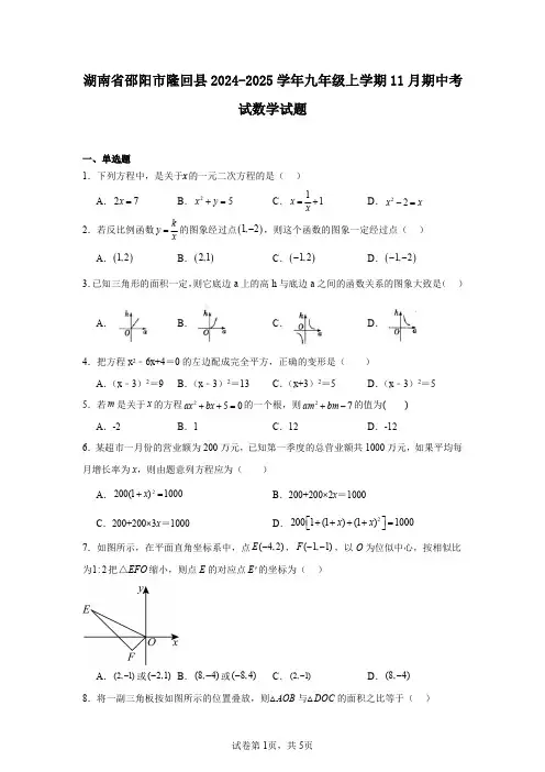 湖南省邵阳市隆回县2024-2025学年九年级上学期11月期中考试数学试题