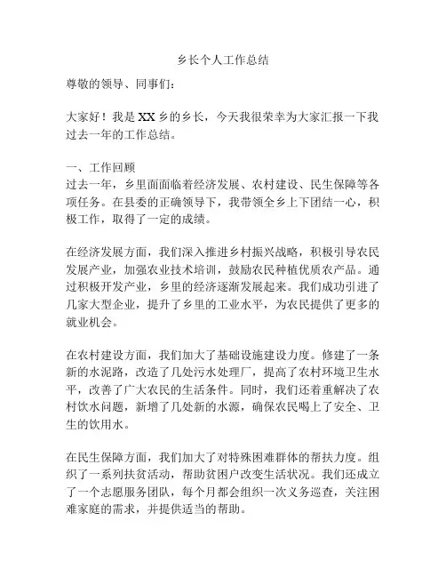 乡长个人工作总结