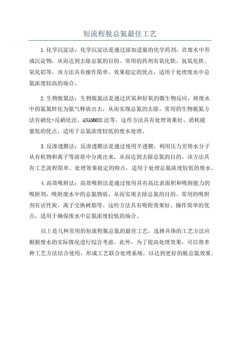 短流程脱总氮最佳工艺