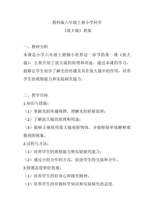 教科版六年级上册小学科学《放大镜》教案