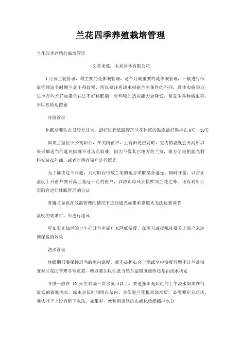 兰花四季养殖栽培管理