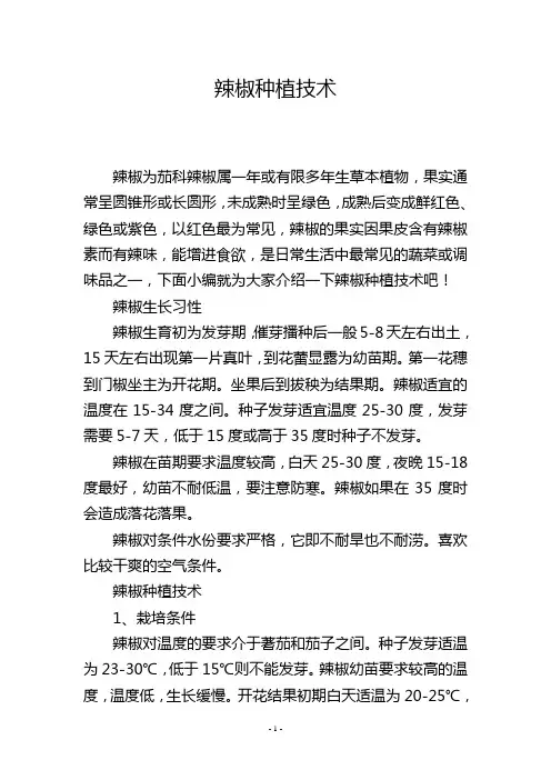 辣椒种植技术