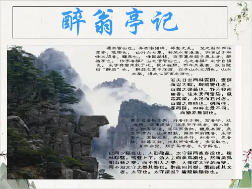 人教部编版版九年级上11《醉翁亭记》ppt-PPT精品课件