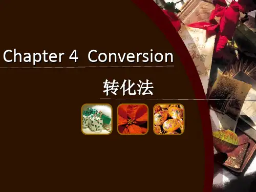 英译汉教程第四章conversion
