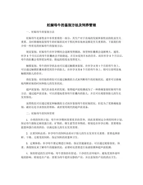 妊娠母牛的鉴别方法及饲养管理
