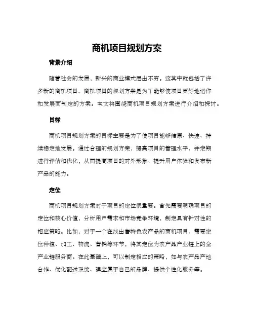 商机项目规划方案