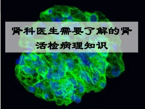 肾科医师需要了解的肾脏病理知识PPT精选课件