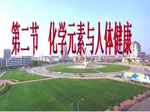 九年级化学化学元素与人体健康4(新201907)