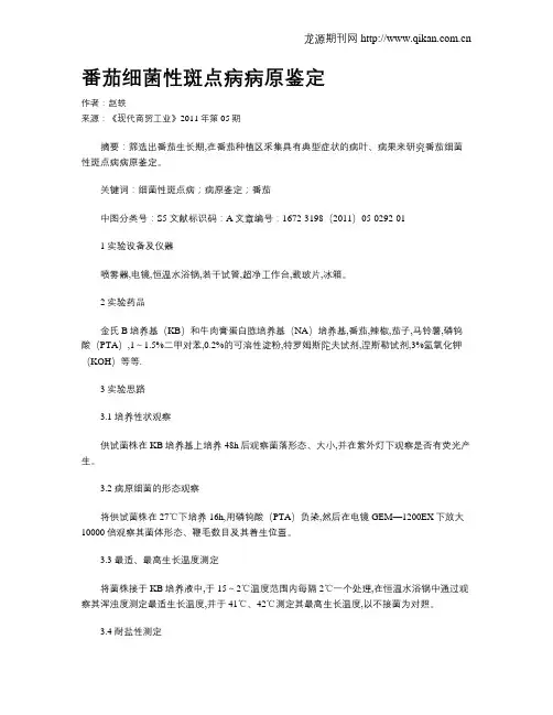番茄细菌性斑点病病原鉴定