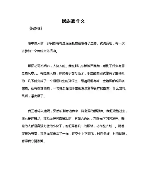 民族魂 作文