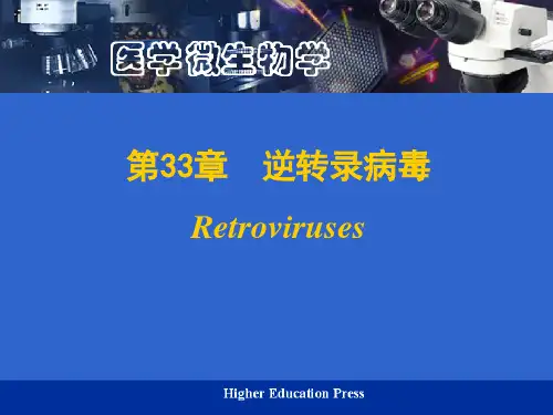 反转录病毒