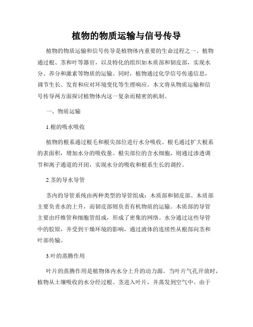 植物的物质运输与信号传导