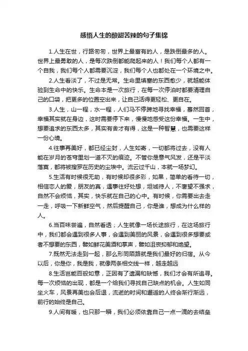 感悟人生的酸甜苦辣的句子集锦