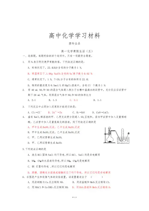 人教版必修一高中化学高一寒假作业化学(五)Word版含答案.docx