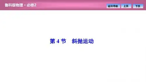 第3章  第4节 斜抛运动