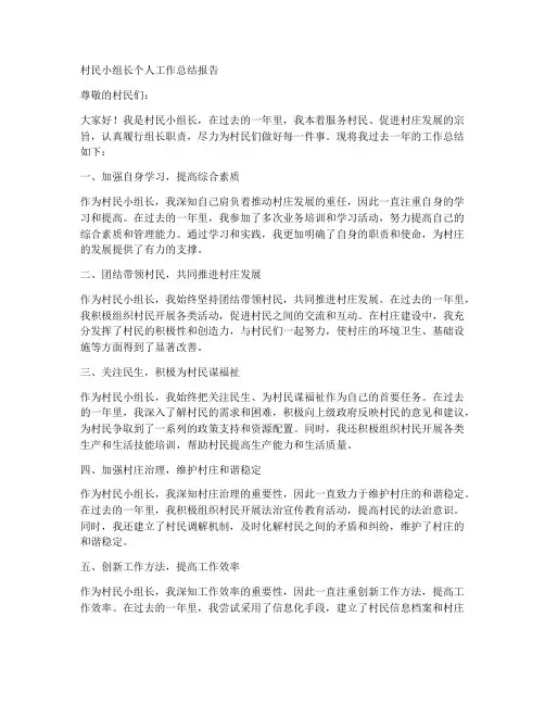 村民小组长个人工作总结报告