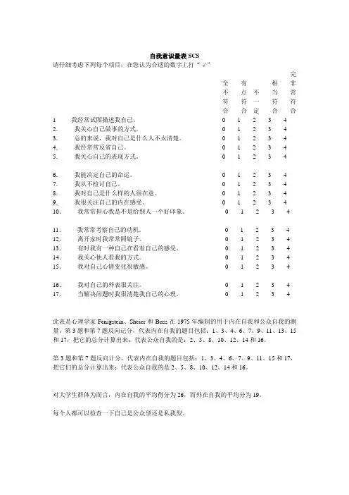 自我意识量表SCS