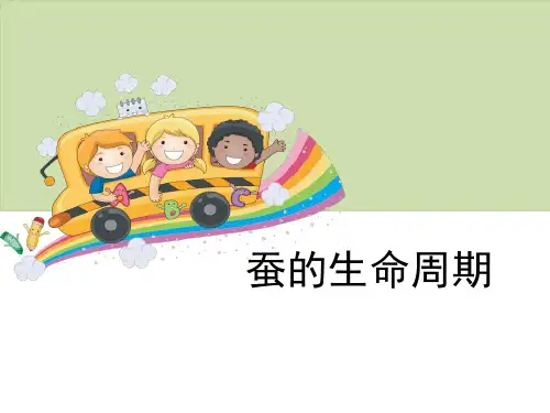 《蚕的生命周期》动物的生命周期PPT