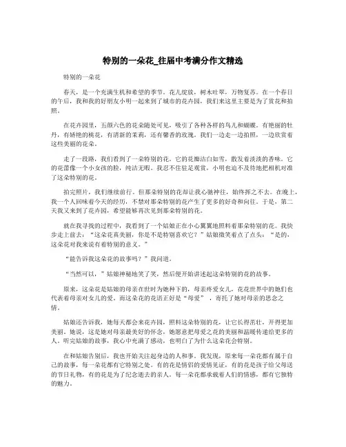 特别的一朵花_往届中考满分作文精选
