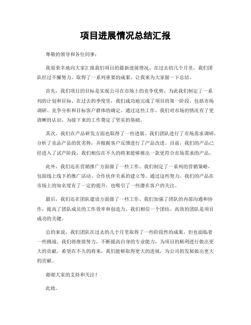 项目进展情况总结汇报