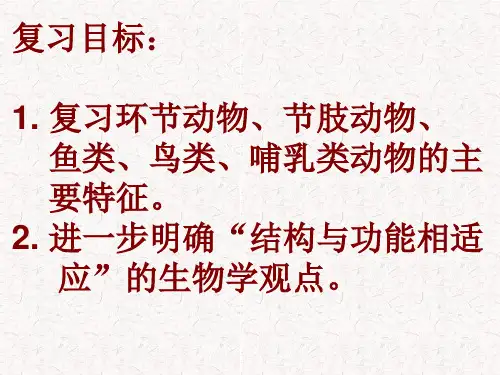 动物的主要类群及特征课件
